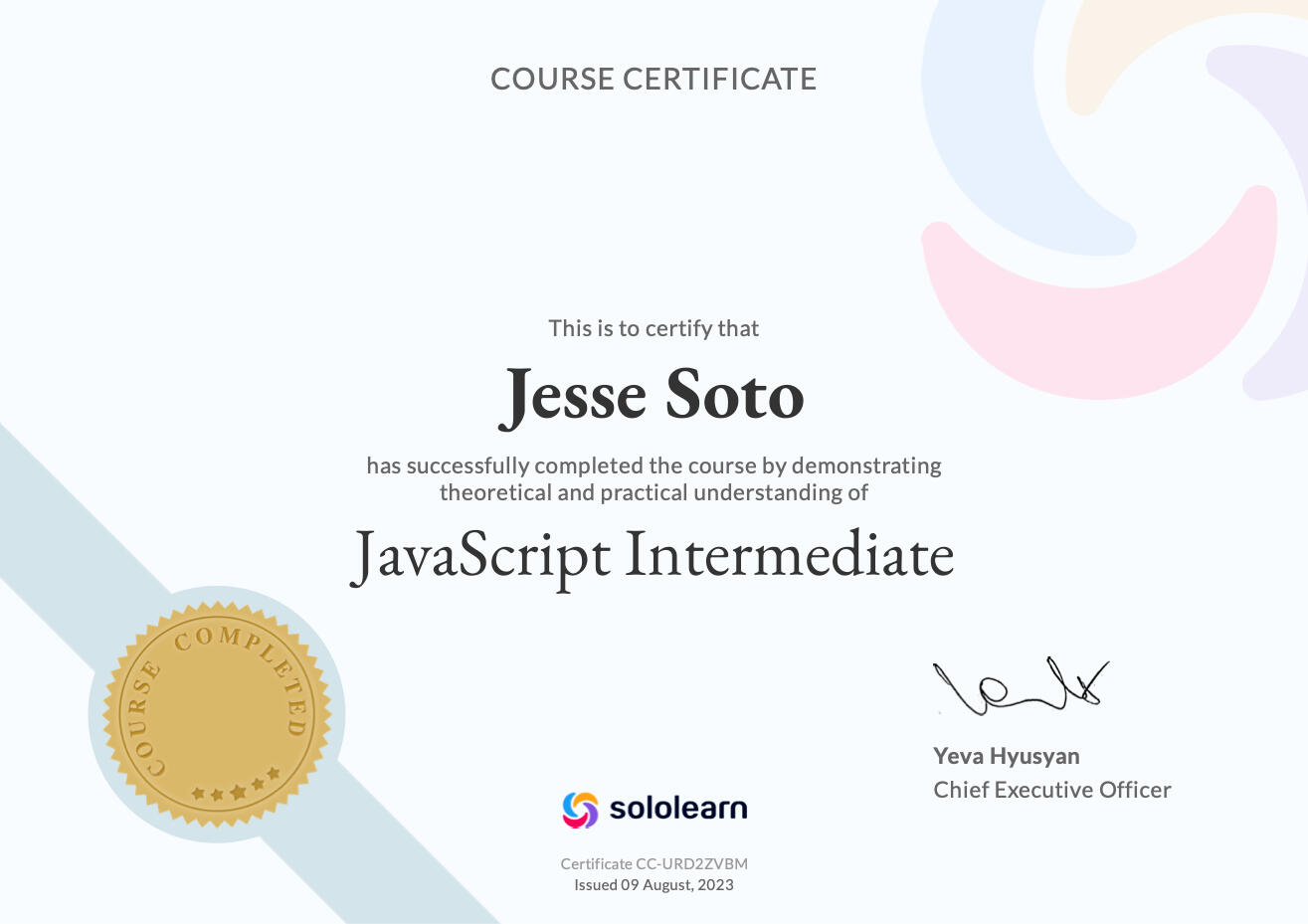 Sololearn | Theoretical and Practical Understanding of JavaScript